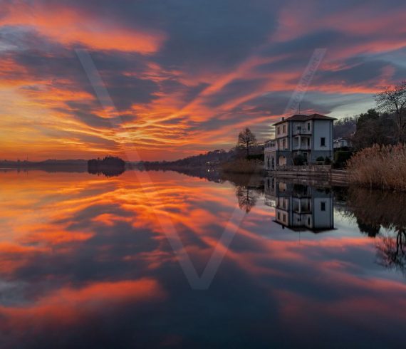 lorenzoviola.net_lorenzoviolaph_pusiano